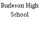 Burleson High School