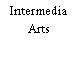 Intermedia Arts