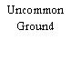 Uncommon Ground