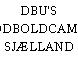 DBU'S FODBOLDCAMPS, SJÆLLAND
