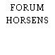 FORUM HORSENS