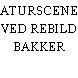 NATURSCENEN VED REBILD BAKKER