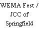 WEMA Fest / JCC of Springfield