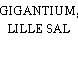 GIGANTIUM, LILLE SAL