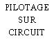 PILOTAGE SUR CIRCUIT