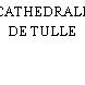 CATHEDRALE DE TULLE