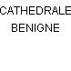 CATHEDRALE BENIGNE