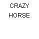 CRAZY HORSE