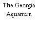 The Georgia Aquarium