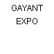 GAYANT EXPO