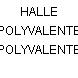 HALLE POLYVALENTE