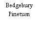 Bedgebury Pinetum