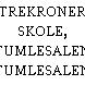 TREKRONER SKOLE, TUMLESALEN