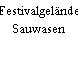 Festivalgelände Sauwasen