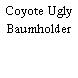 Coyote Ugly Baumholder
