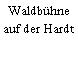 Waldbühne auf der Hardt