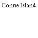 Conne Island