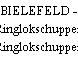 BIELEFELD - Ringlokschuppen