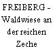 FREIBERG - Waldwiese an der reichen Zeche