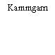 Kammgarn