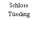 Schloss Tüssling