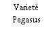 Varieté Pegasus