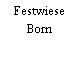 Festwiese Born
