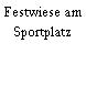 Festwiese am Sportplatz