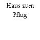 Haus zum Pflug