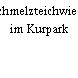 Schmelzteichwiese im Kurpark