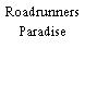 Roadrunners Paradise