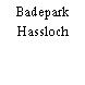 Badepark Hassloch