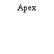 Apex