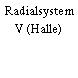 Radialsystem V (Halle)