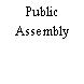 Public Assembly