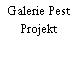 Galerie Pest Projekt