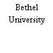 Bethel University
