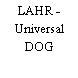 LAHR - Universal DOG