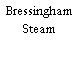Bressingham Steam