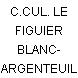 C.CUL. LE FIGUIER BLANC- ARGENTEUIL