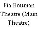 Pia Bouman Theatre (Main Theatre)