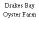 Drakes Bay Oyster Farm
