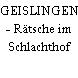 GEISLINGEN - Rätsche im Schlachthof