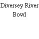 Diversey River Bowl