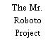 The Mr. Roboto Project