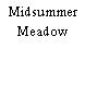 Midsummer Meadow