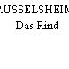 RÜSSELSHEIM - Das Rind