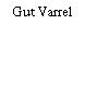Gut Varrel