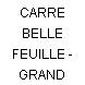 CARRE BELLE FEUILLE - GRAND CARRE