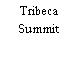 Tribeca Summit